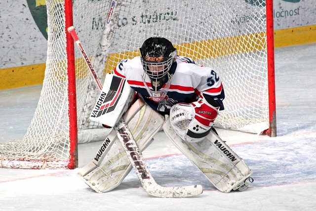 生的创造力 生的创造力